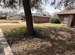 Leaf Removal by Brianna Villegas for Timothy B. in Bedford, TX