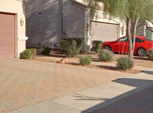 Bush Trimming by Gideon Cook for William V. in Phoenix, AZ