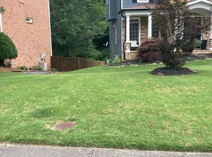 Jud r.'s Lawn Service service result