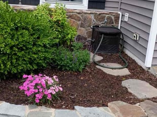 Cleanups by Manny Chavez for Phil R. in Springfield, VA