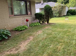 Bush Trimming by Jasmine Hill-hudson for Jess F. in Milwaukee, WI
