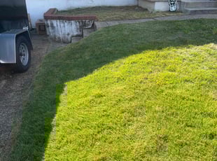 David H.'s Lawn Mowing Service service result