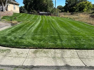 Tana D.'s Lawn Mowing service result