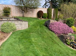Tyler S.'s Grass Cutting service result
