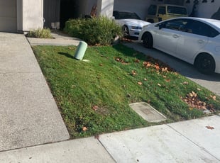 Leaf Removal by Jonathan Allen for Aaron S. in Sacramento, CA