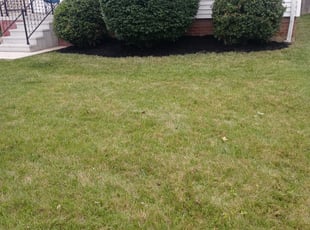 Landscaping by Lakiesha Hale for Tamika J. in Euclid, OH