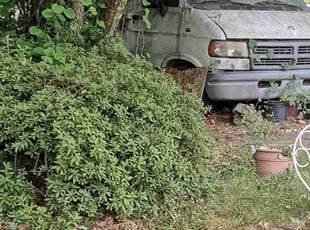 Bush Trimming by Dimitri Sharp for Melany P. in Upper Marlboro, MD