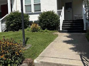 Denise N.'s Lawn Care service result