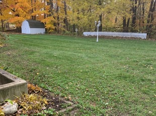 Leaf Removal by Ryan Cooper for Kirsten F. in Walker, MI