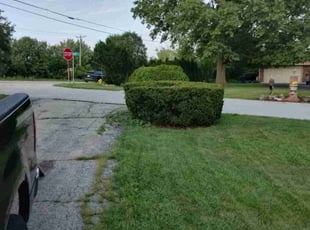 Bush Trimming by Shawn Jackson for Tim W. in Orland Park, IL