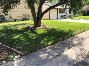 Cleanups by Mike Tomedi for Melissa C. in Colorado Springs, CO