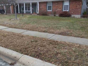 Leaf Removal by James Buchanan for Mike S. in Grandview, MO