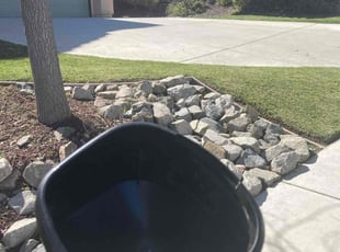 Marlene R.'s Yard Cutting service result