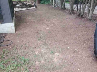 Leaf Removal by Omayma Saleh for Shelia S. in Stone Mountain, GA