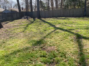 Leaf Removal by Reginald Jones for Britney M. in South Chesterfield, VA