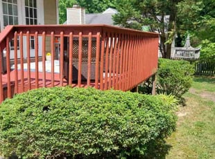Bush Trimming by Timothy Pannell for Phyllis C. in High Point, NC