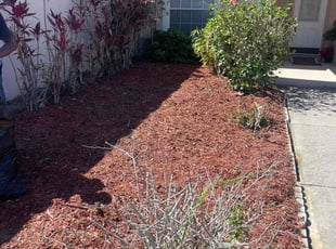 Weeding by Ladarius Lathan for Judy C. in Clermont, FL