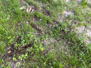Cleanups by Edwin Rios Rosado for John P. in Orange City, FL