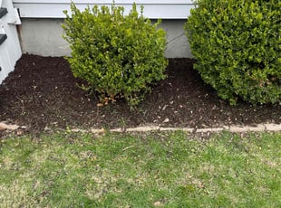 Mulching by Scott Basinger for Jonathan L. in Cleveland, OH
