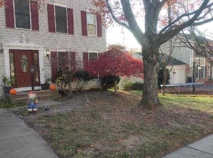 Leaf Removal by Manny Chavez for Christopher B. in Stafford, VA