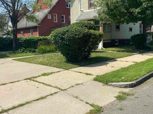 Bush Trimming by Jason Pacheco for Amos C. in Springfield, MA