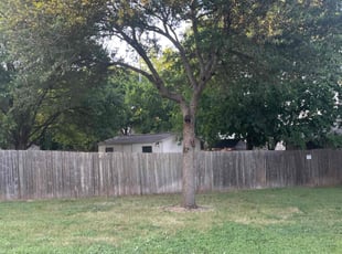Cleanups by Beau Kirtner for Mike f. in Schertz, TX