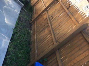 Leaf Removal by Giovanni HErnandez for Dayo B. in Washington, DC