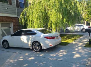 Weeding by Chris Towery for Hyundai K. in Buford, GA