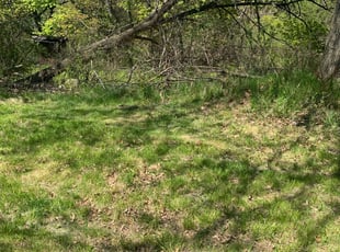 Cleanups by Pep Gray for Dave w. in Cleveland, OH