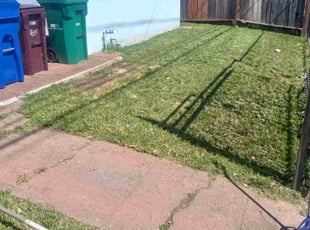 Christina C.'s Lawn Care service result