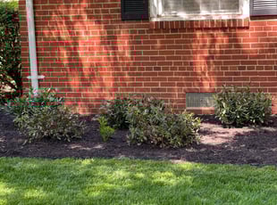 Mulching by Andre Hunt for Julie B. in Richmond, VA