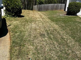 Bush Trimming by William Shattles for Mike T. in Kennesaw, GA