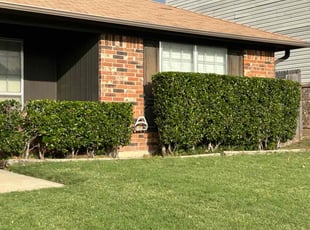 Steve P.'s Lawn Mowing service result
