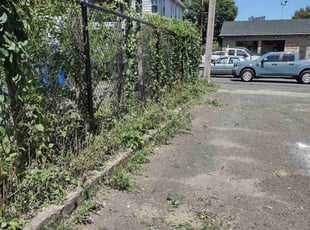 Cleanups by Matthew Spinelli for Mika M. in Bridgeport, CT