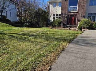 Leaf Removal by Dwyne Smith for Cynthia M. in Eagan, MN