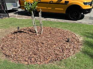 Mulching by Joshua Coonradt for Alena J. in Raleigh, NC