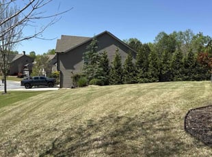 Vince D.'s Lawn Mowing service result