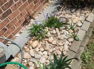 Weeding by Matt Brady for Nancy M. in Warminster, PA