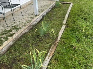 Alyssia S.'s Flower Bed Weeding service result