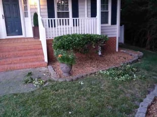 Bush Trimming by Marie Eldridge for Stephanie A. in Suffolk, VA