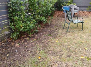 Bush Trimming by Ronald Butler for Sarah S. in Charleston, SC