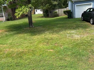 Bush Trimming by Marieo Pressley for Sharon G. in Salisbury, NC