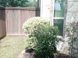 Bush Trimming by Jesus Martinez for Rachel M. in Atascocita, TX