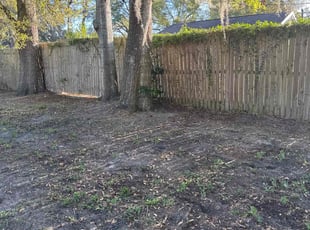 Leaf Removal by Christopher Oropeza for Trevor M. in Sanford, FL