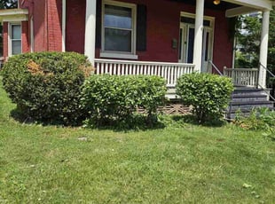 Bush Trimming by Kevin Philips for Dhana B. in Cincinnati, OH