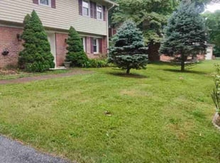 Deborah M.'s Grass Cutting service result