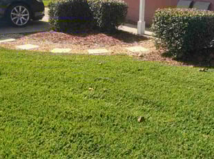 Ana G.'s Lawn Maintenance service result