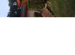 Bush Trimming by Aundra Thomas for Natalie T. in Arlington, TX