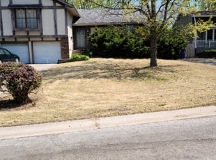 Cleanups by Melinda Bartling for Cindy W. in Grandview, MO