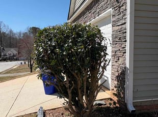 Bush Trimming by Brian Cash for Stephanie S. in Monroe, GA